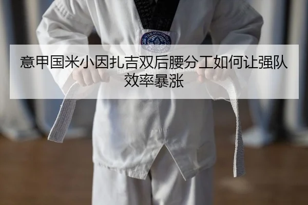 意甲国米小因扎吉双后腰分工如何让强队效率暴涨